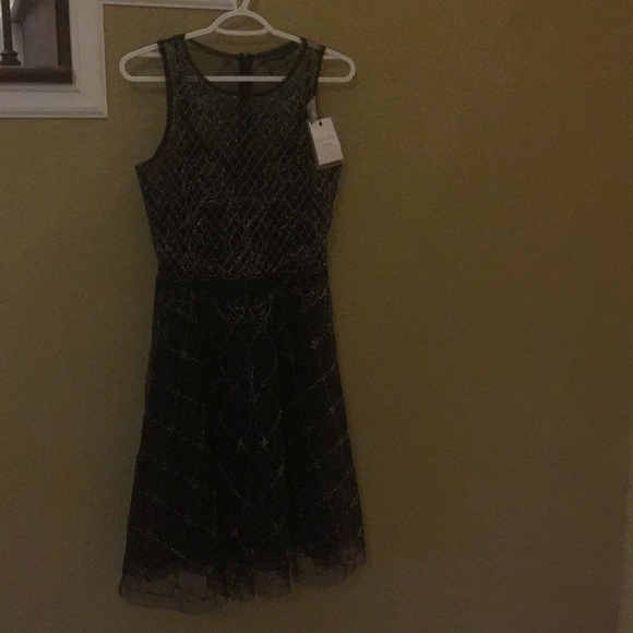 Beaded Mesh Dress - Sleeveless - Picture 3 of 6